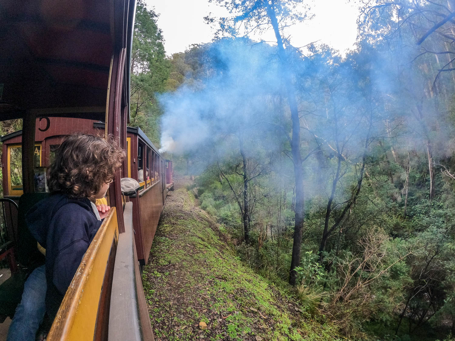 Where to spot PUFFING BILLY, Victoria - Camps Australia Wide