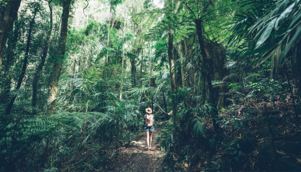 things to do on the gold coast with kids