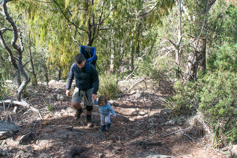 douglas apsley national park