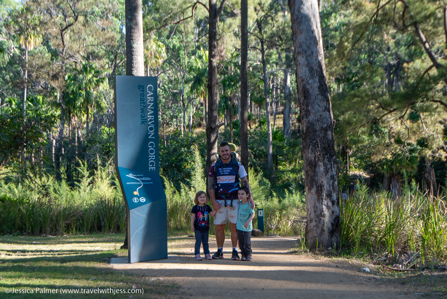 carnarvon gorge
