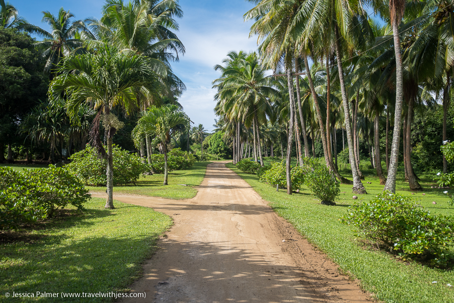 mauke in the cook islands