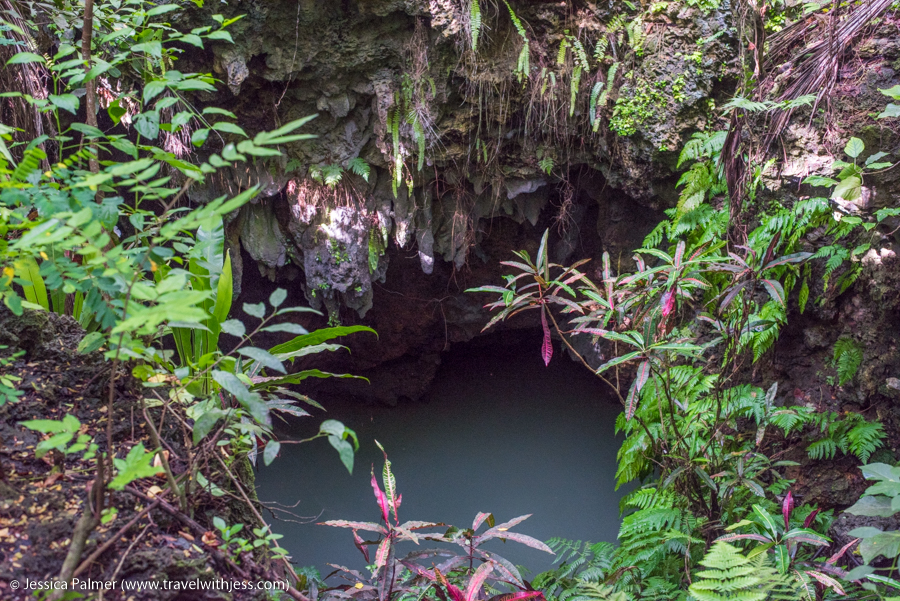 mauke in the cook islands