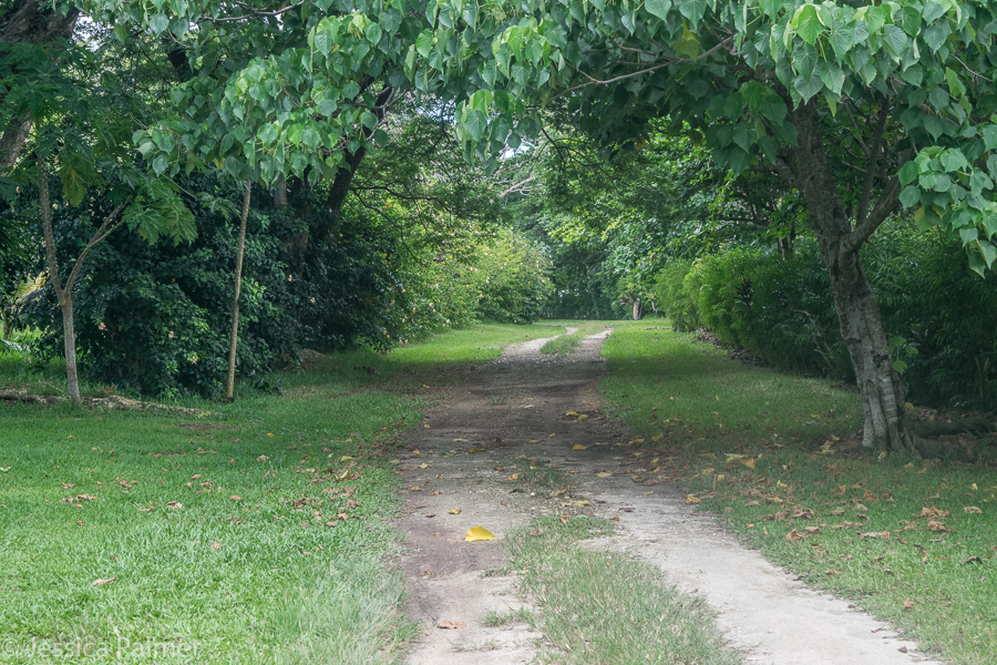 freshwater plantation aore island