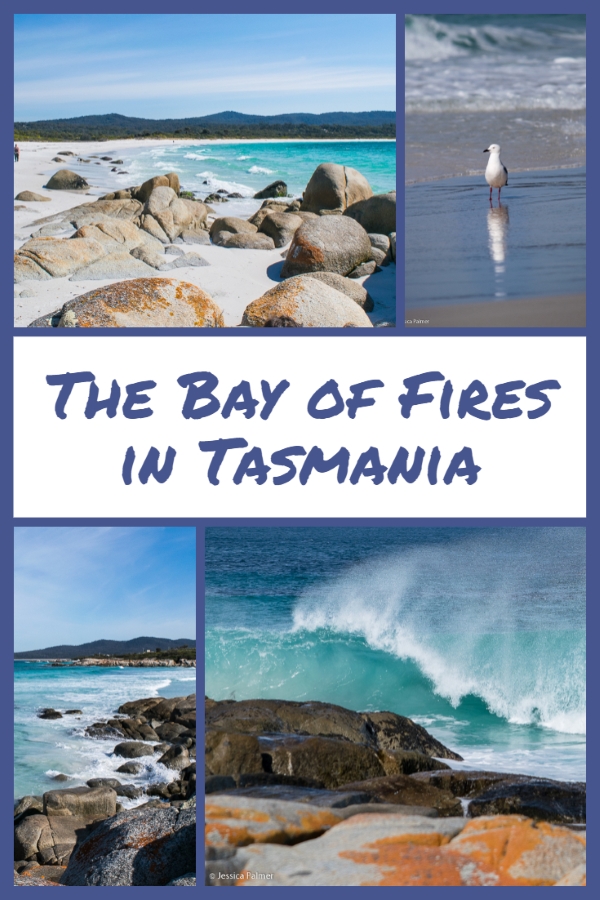 bay of fires in tasmania