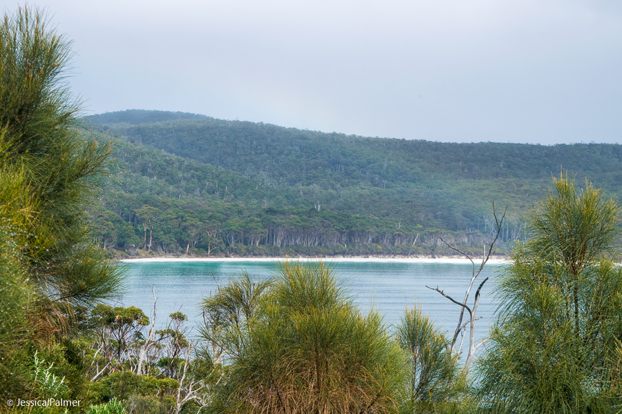 things to do tasman peninsula