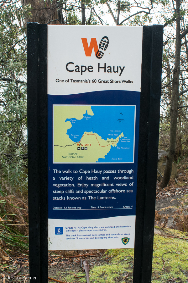 cape hauy