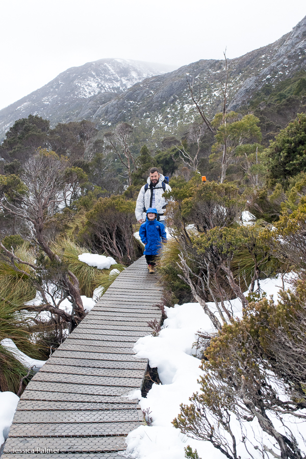 dove lake circuit Tasmania
