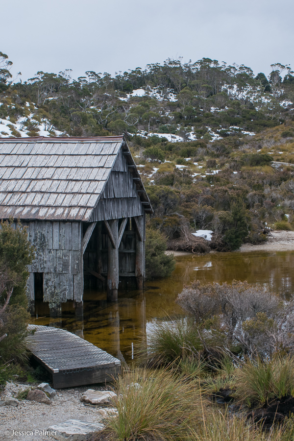 dove lake circuit tasmania