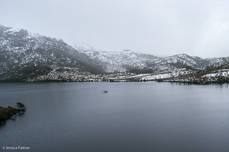 dove lake circuit Tasmania