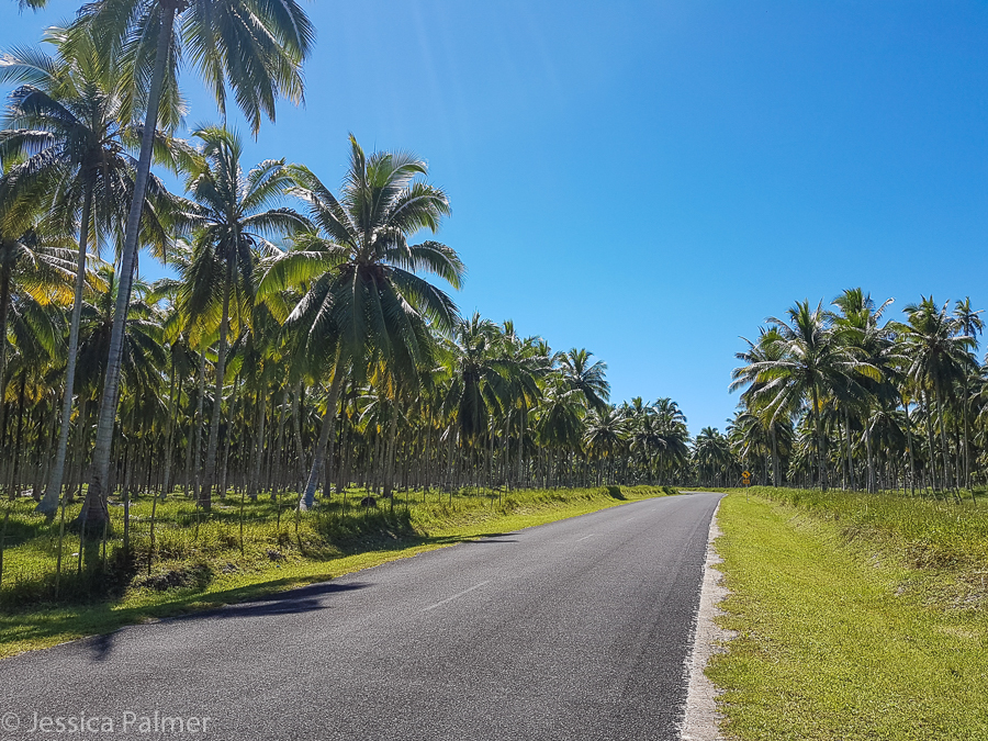 things to do in espiritu santo