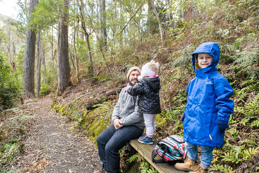 evercreech forest reserve