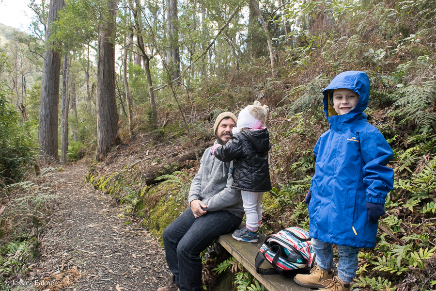 things to do in tasmania with kids