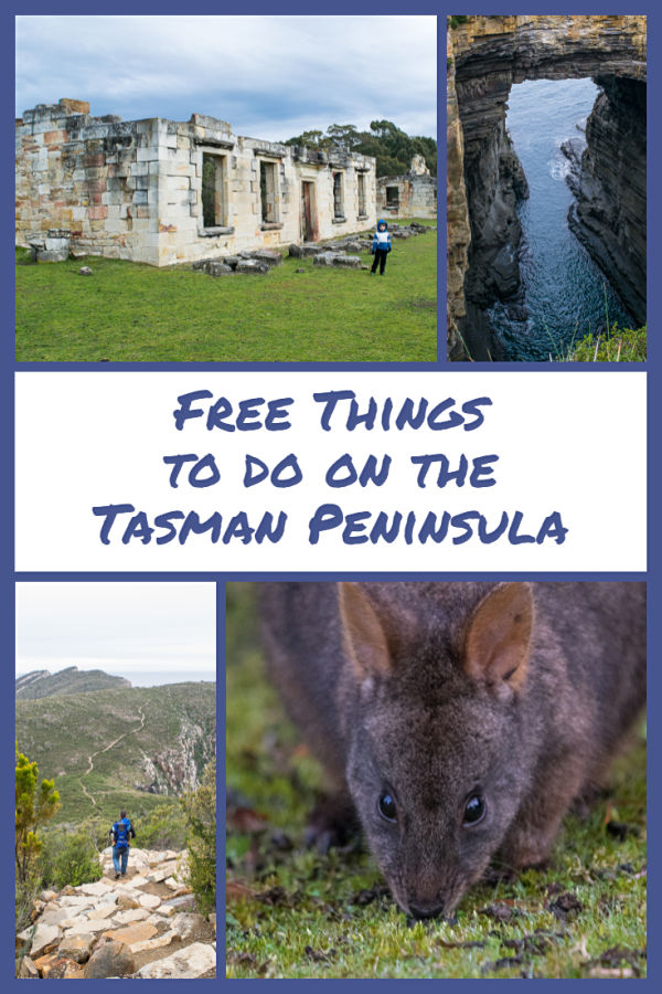 things to do on the tasman peninsula