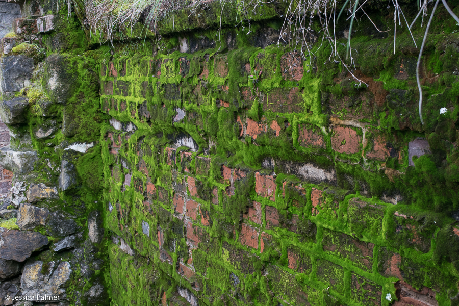 coal mines historic site