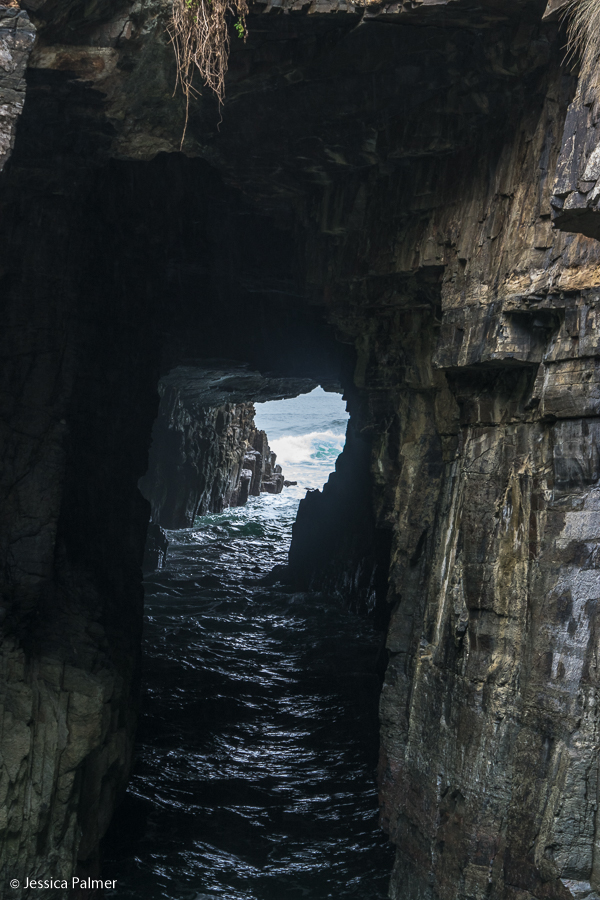 things to do tasman peninsula