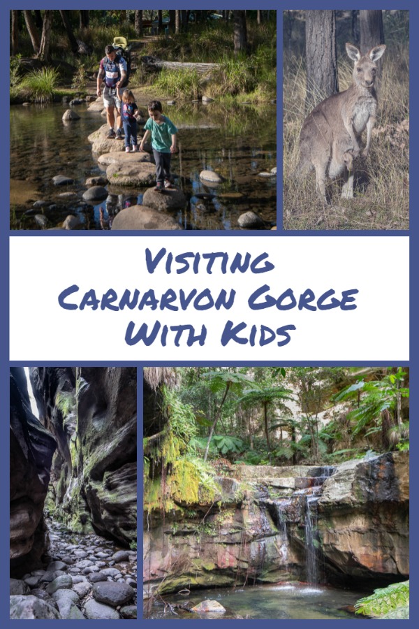 carnarvon gorge with kids