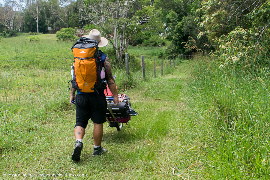noosa walks noosa trail network