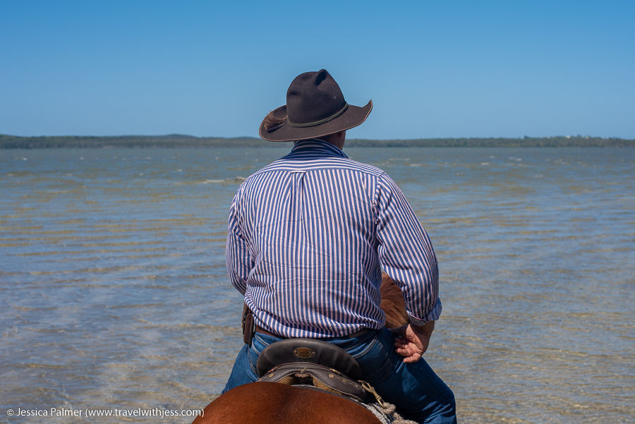 noosa horse ride