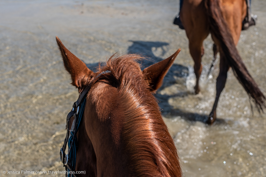 things to do in noosa