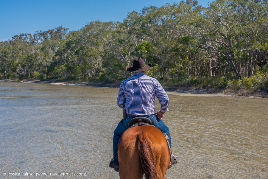 noosa horse ride