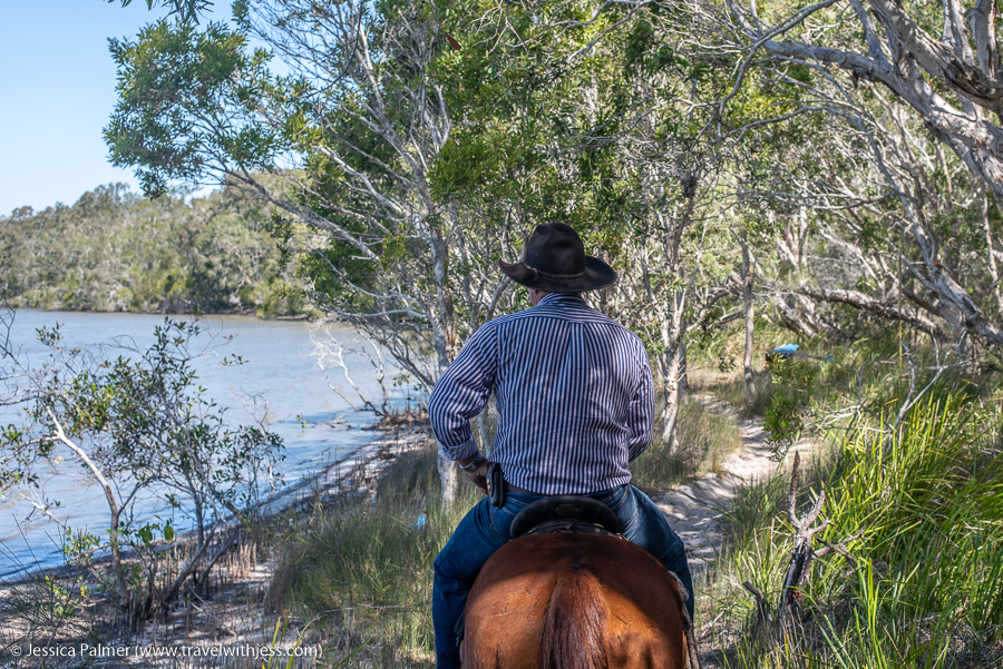 noosa horse ride
