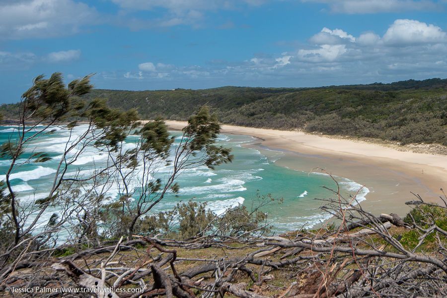 noosa national park walks