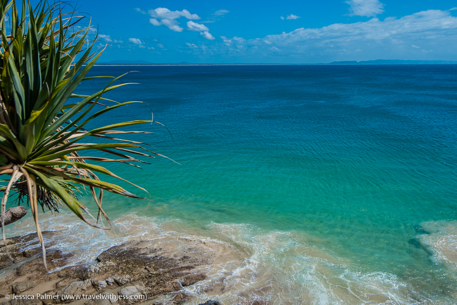 noosa national park walks