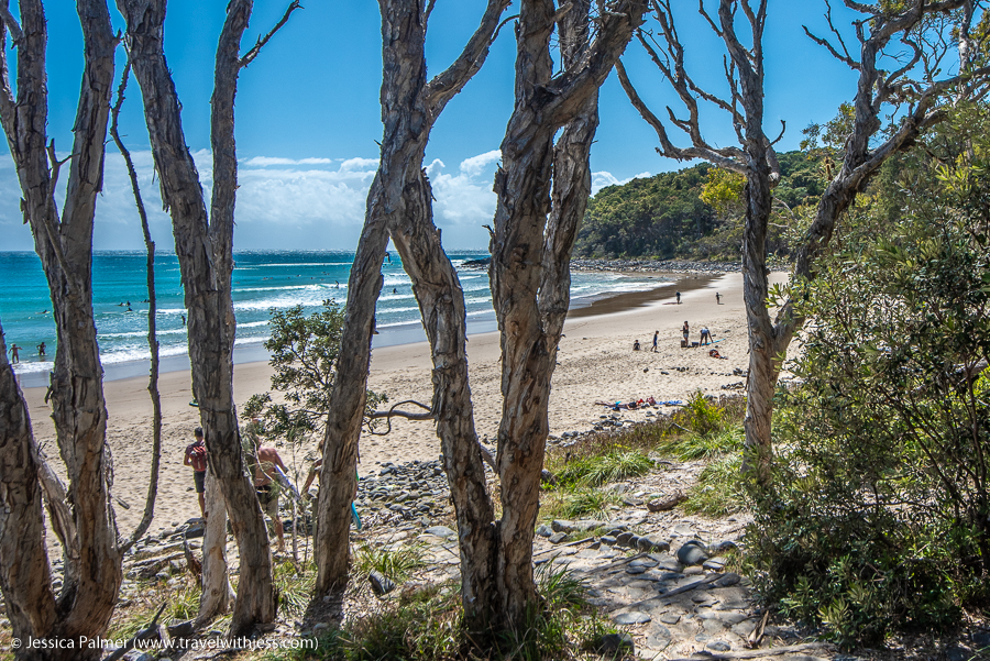 noosa national park walks