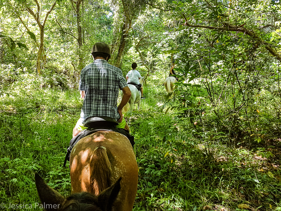 horse riding in vanuatu