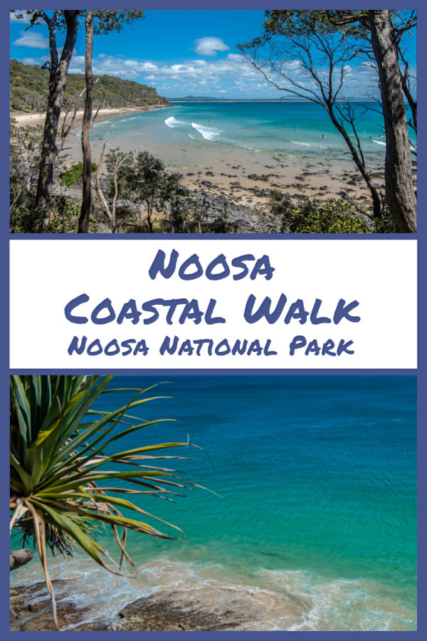 noosa coastal walk