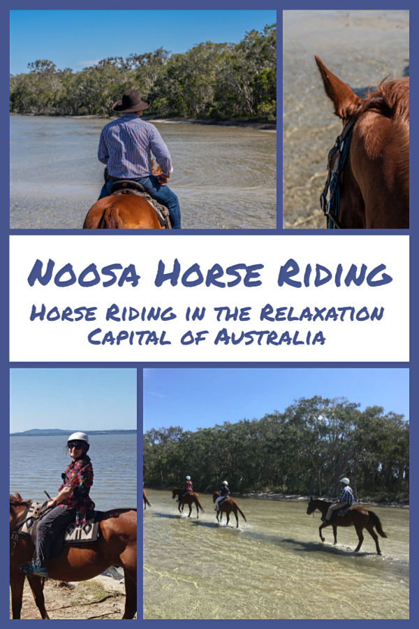 noosa horse riding