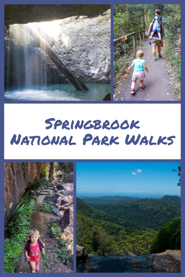 springbrook national park walks