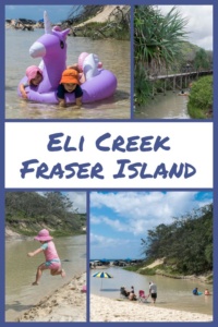 eli creek fraser island