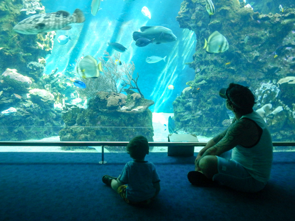 things to do in new caledonia