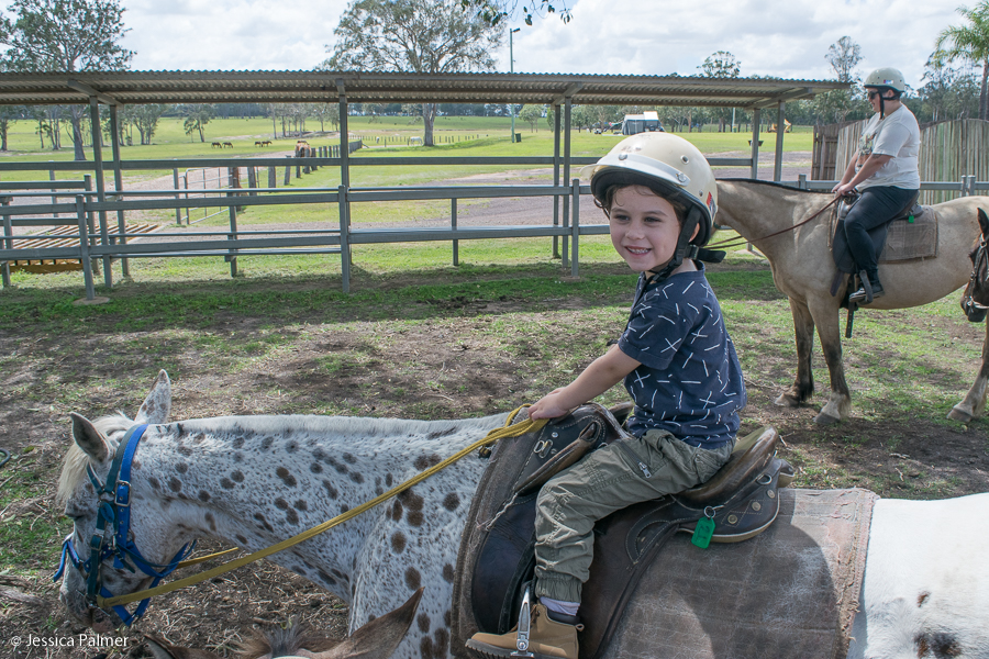 susan river homestead