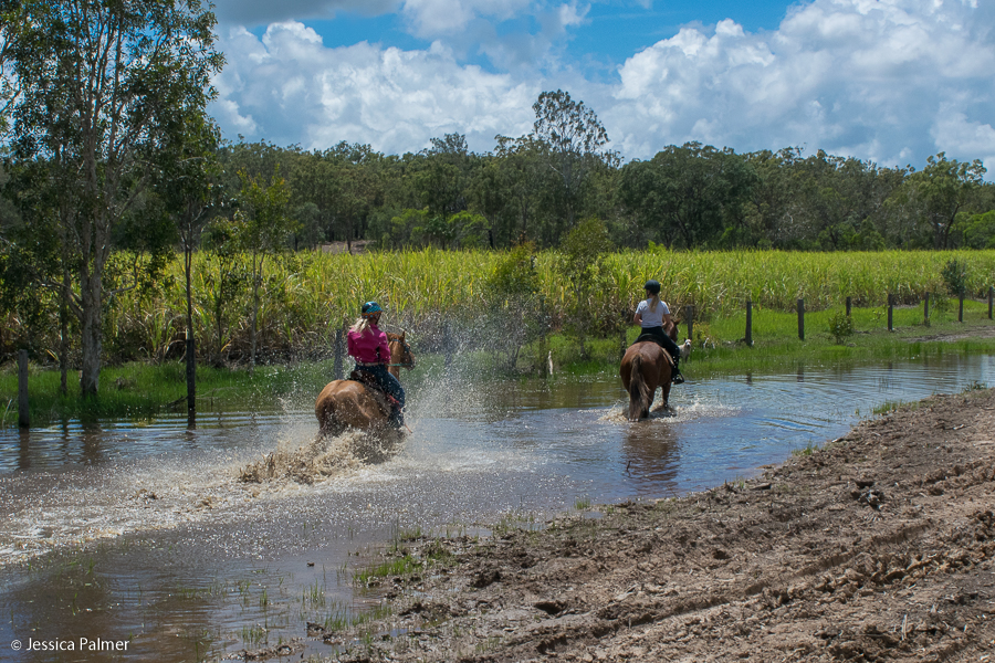 susan river homestead