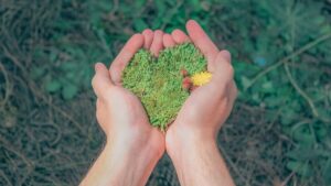 sustainable travel for families