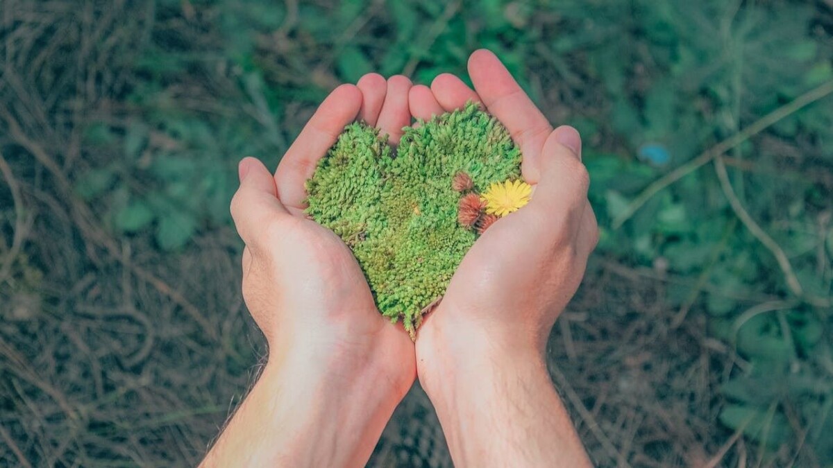 sustainable travel for families