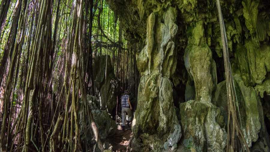 Best Cook Island to visit