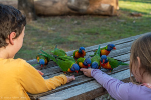 camping at cania gorge