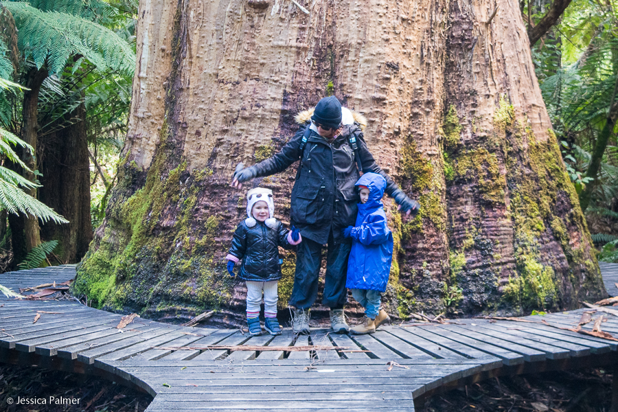 walks in tasmania with kids