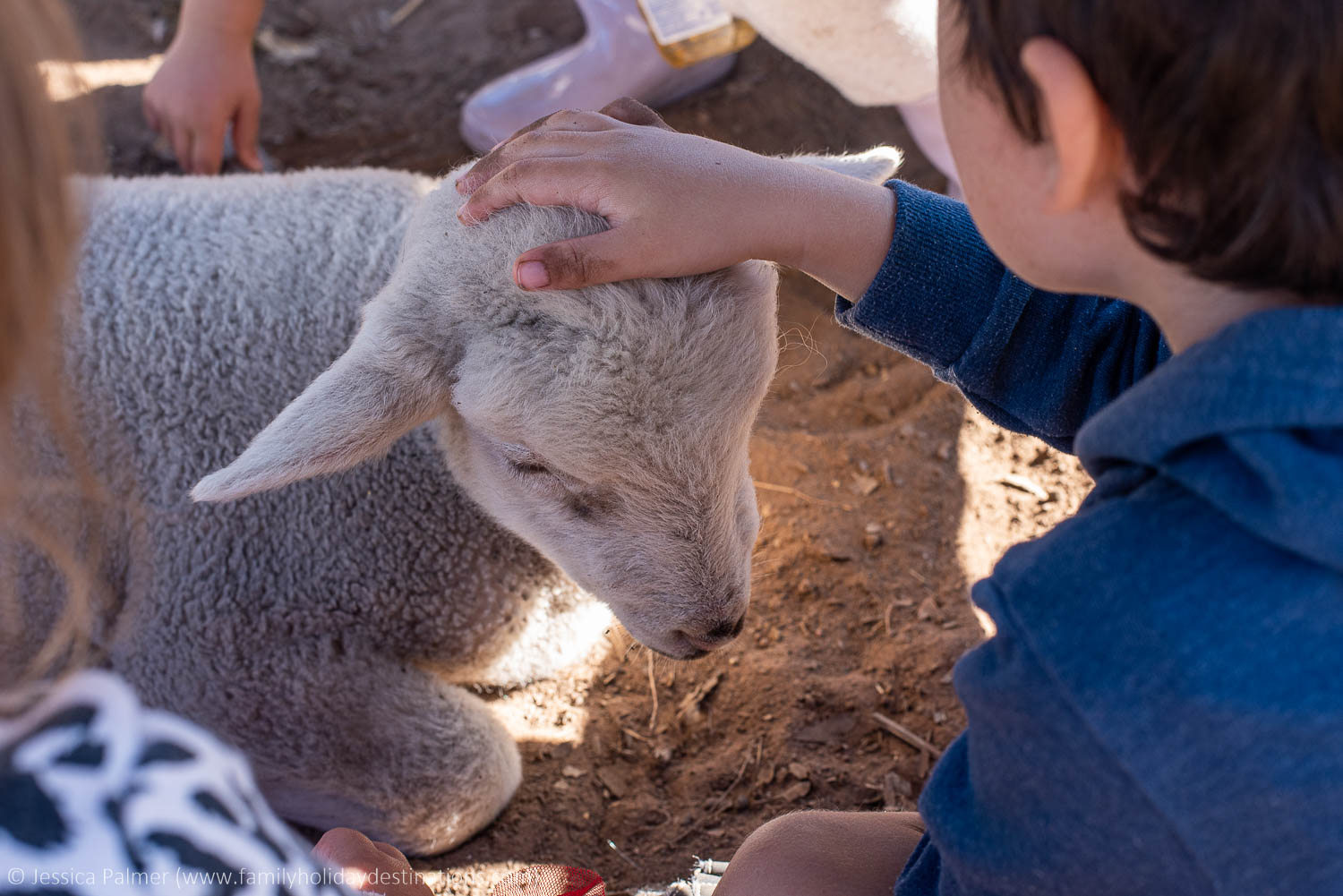 ewe nique hobby farm