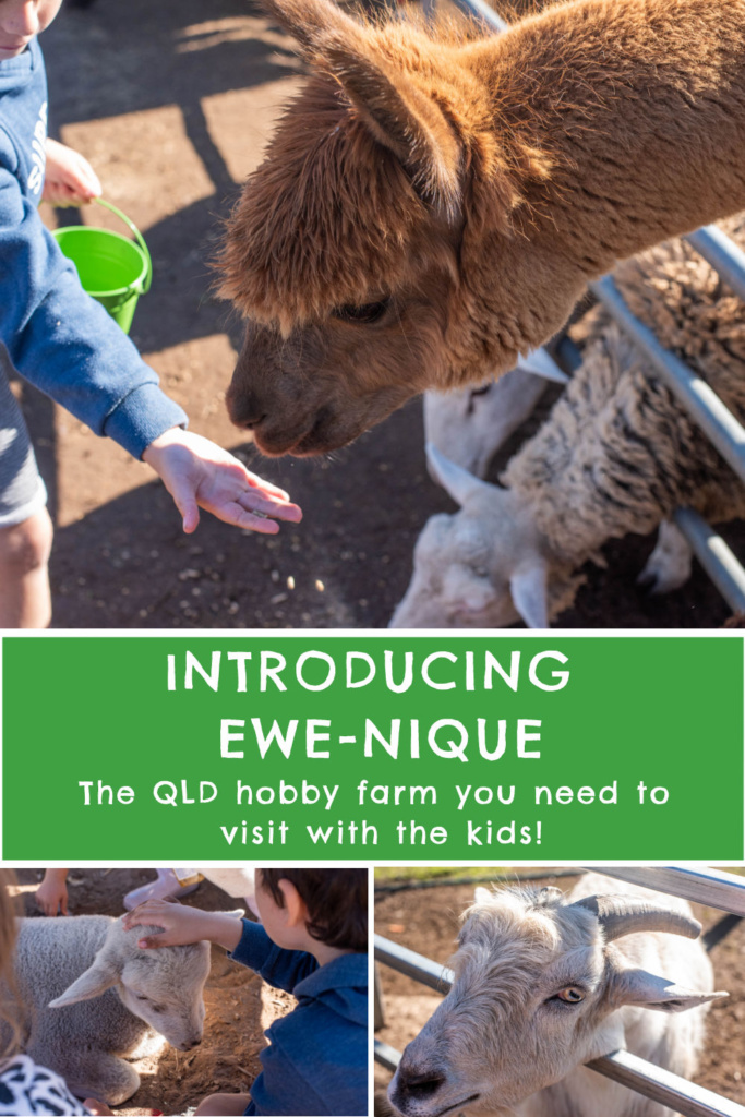 ewe nique hobby farm