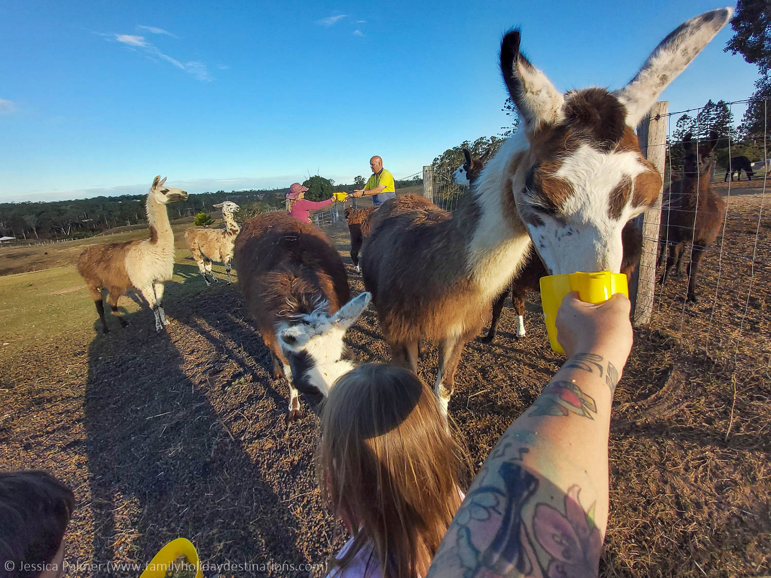 things to do in ipswich