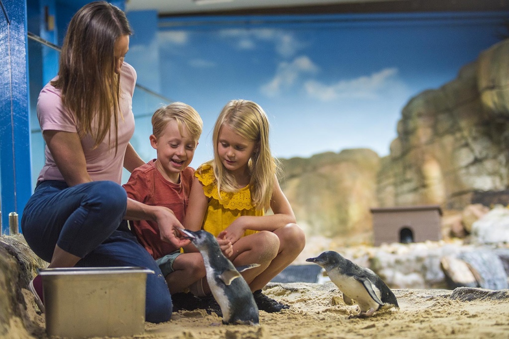 sea life sunshine coast