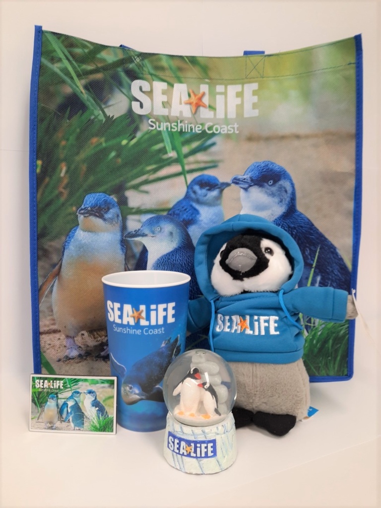 sea life sunshine coast