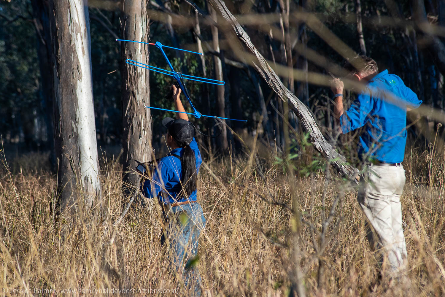 things to do in ipswich