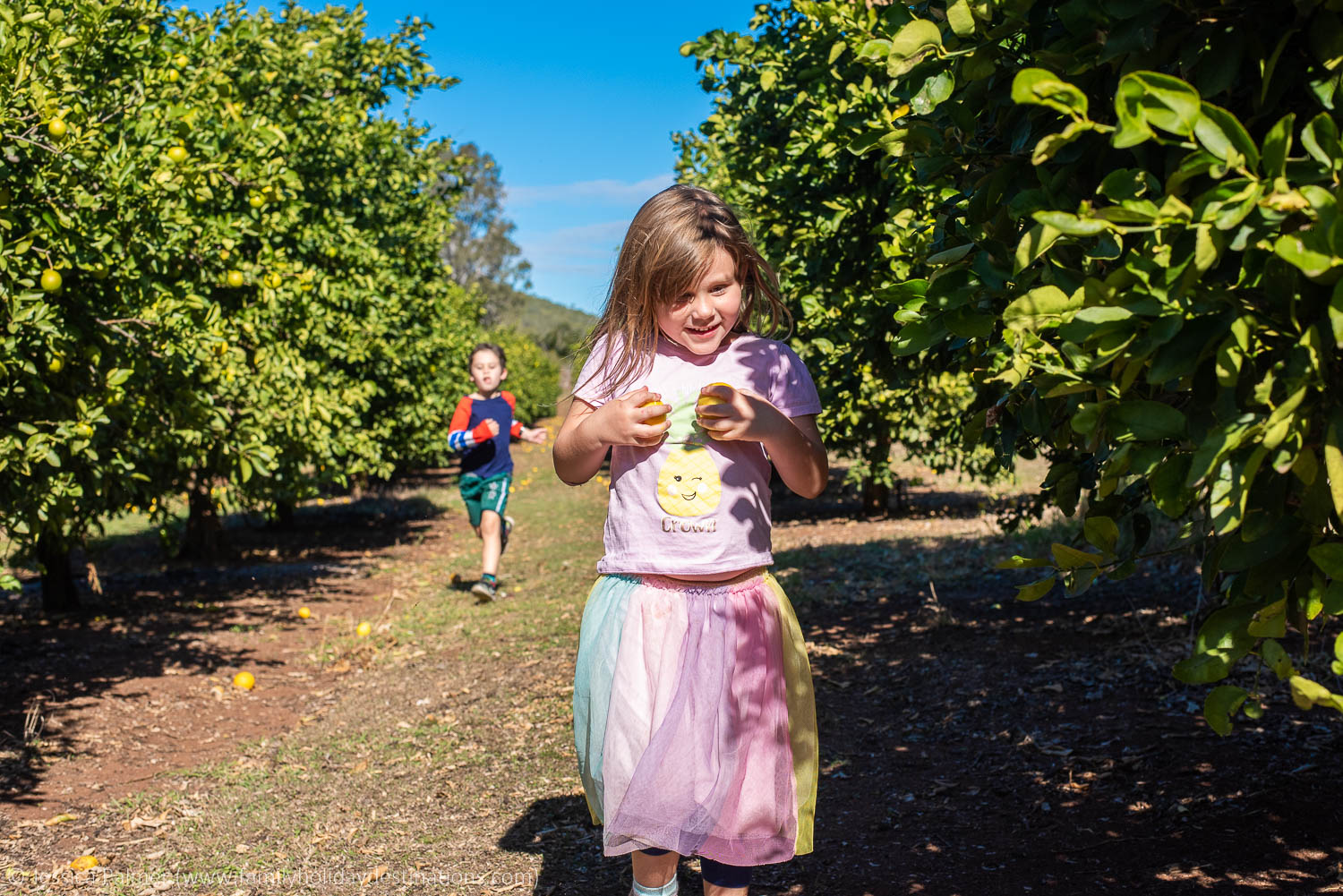 things to do in ipswich