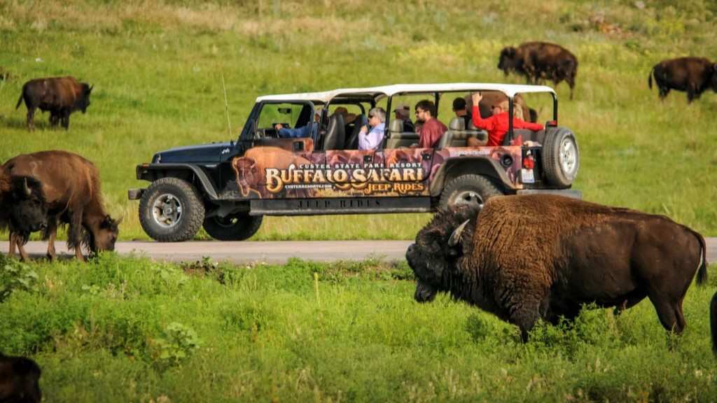 Custer State Park