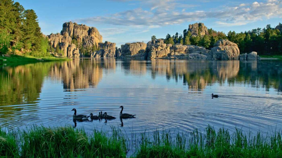 An Aussie in Custer State Park: Buffalo, Snowfall and a Classic American Family Adventure